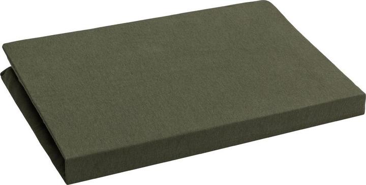 Vert olive