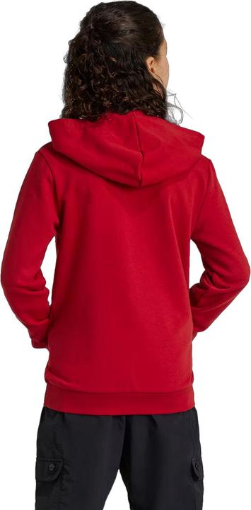 Produktbild FC Bayern München Kapuzenpullover (146)