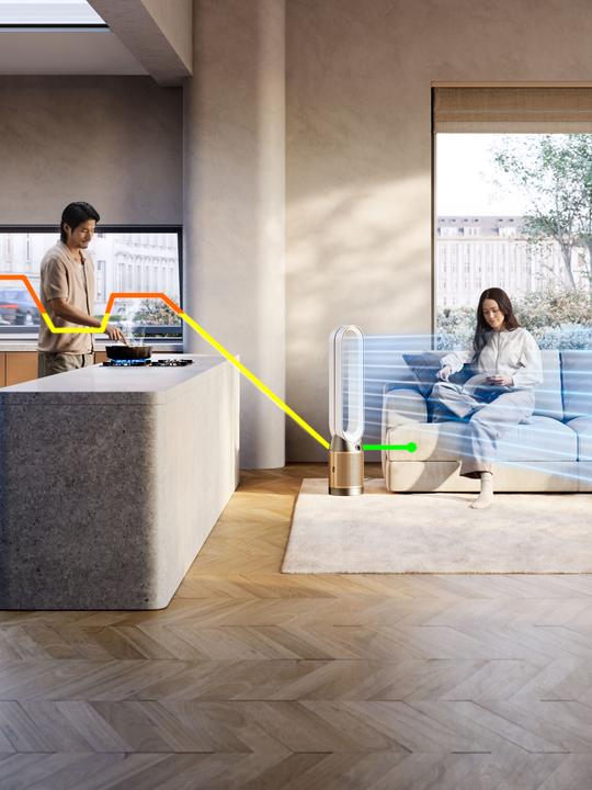 Actual product image Dyson Purifier Cool PC2 De-NOx (32 m²)