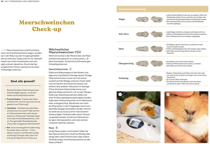 Immagine prodotto Kosmos Meerschweinchen (Tedesco, Viola Schillinger, 2023)