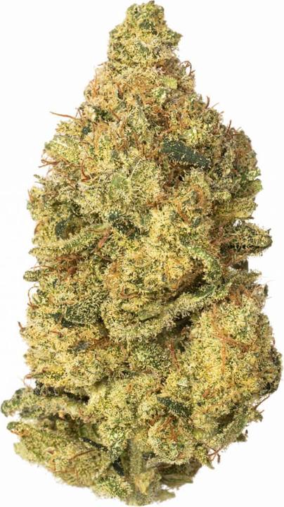 Actual product image Hi Lab Super Lemon Haze (4 g, Indoor)