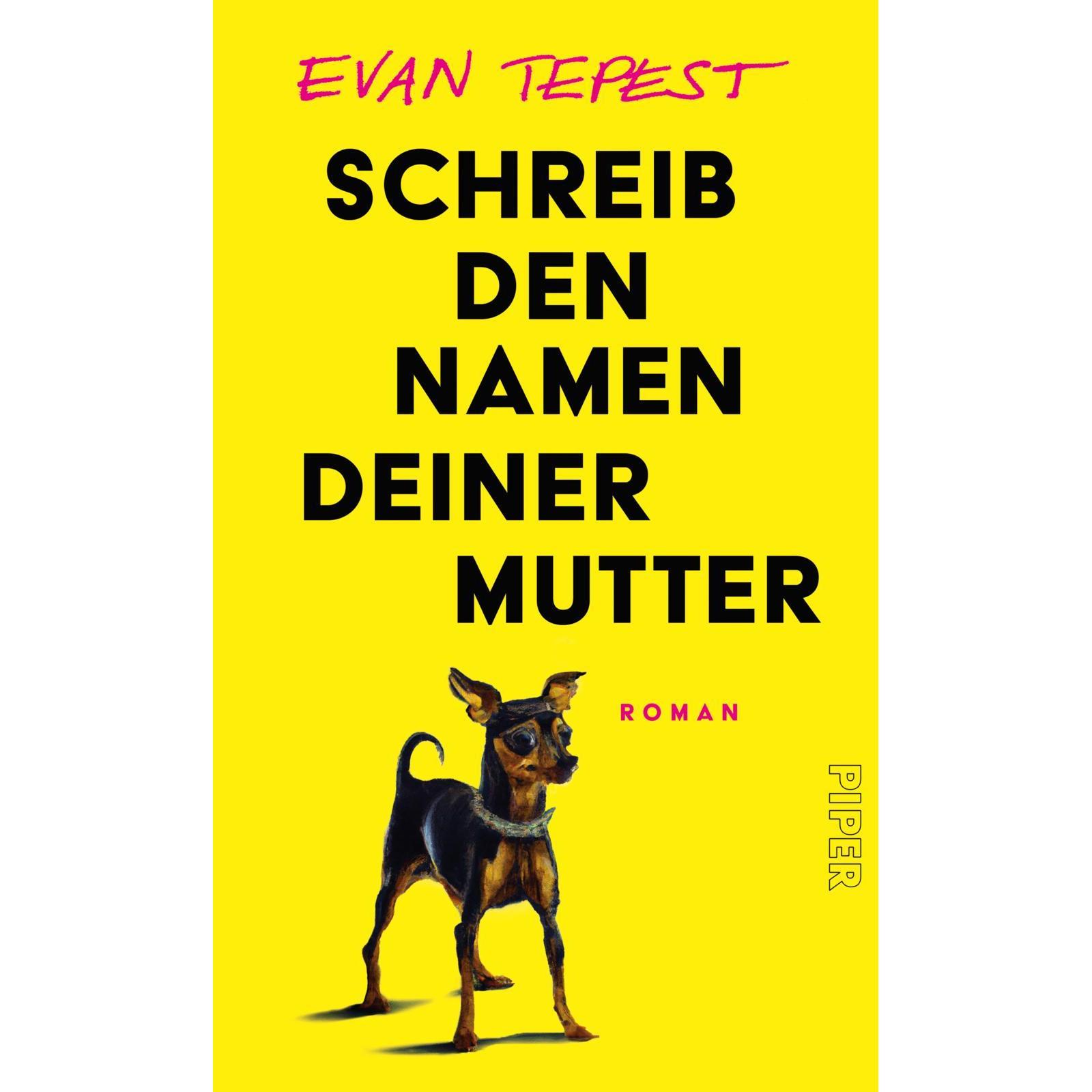 Schreib den Namen deiner Mutter, Belletristik von Evan Tepest