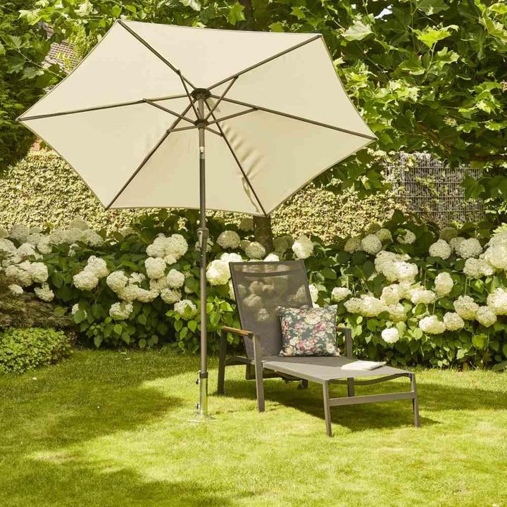 Image du produit Siena Garden Épine de gazon