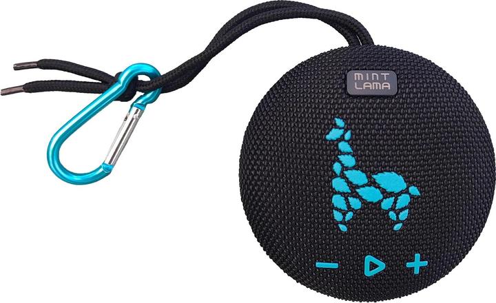 Actual product image Mint Lama Lamabeat 1 (4 h)