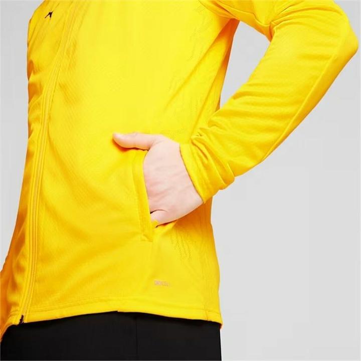 Produktbild Puma BVB Training Jacket (L)