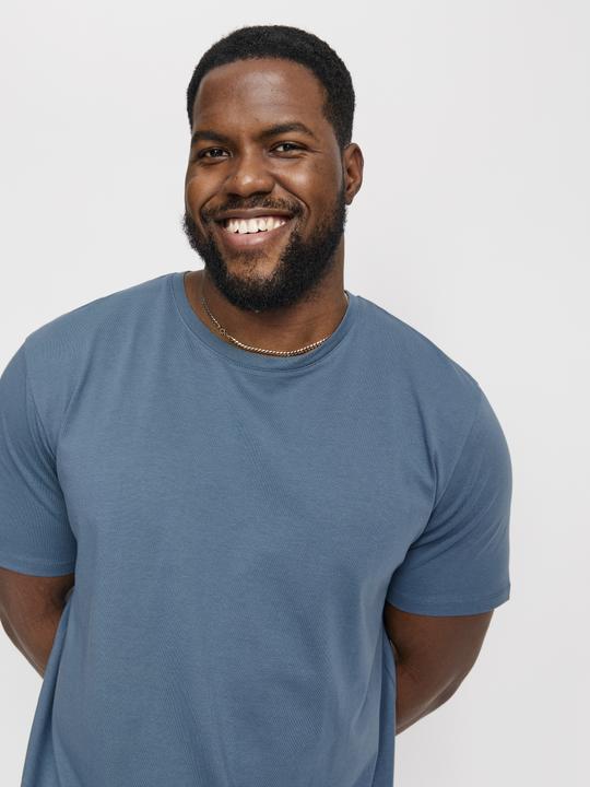 Actual product image Jack & Jones Jjeorganic Basic Tee Ss O-Neck Noos Pls (XXL)