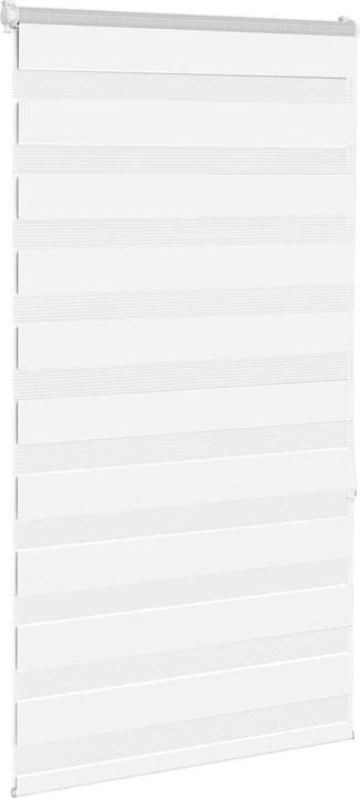 Produktbild vidaXL Zebra-Jalousie (75 x 150 cm)