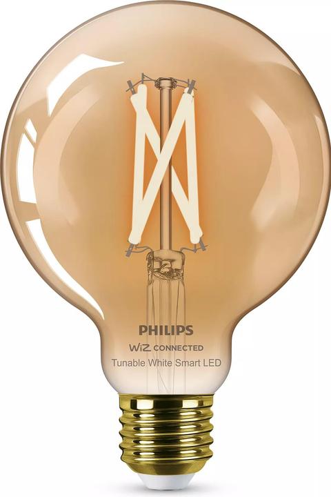 Image du produit Philips WFB 50W G95 E27 920-50 Amb 1PF/6 (E27, 640 lm, 1 x)