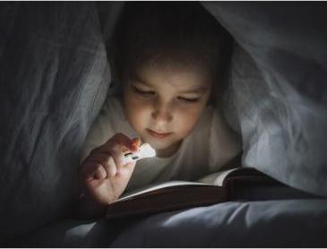 Produktbild ArmyTek Zippy ES Mehrzweckleuchte (Grey) (200 lm)