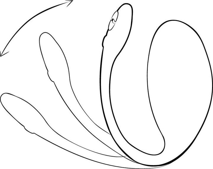 Actual product image We-Vibe Jive 2