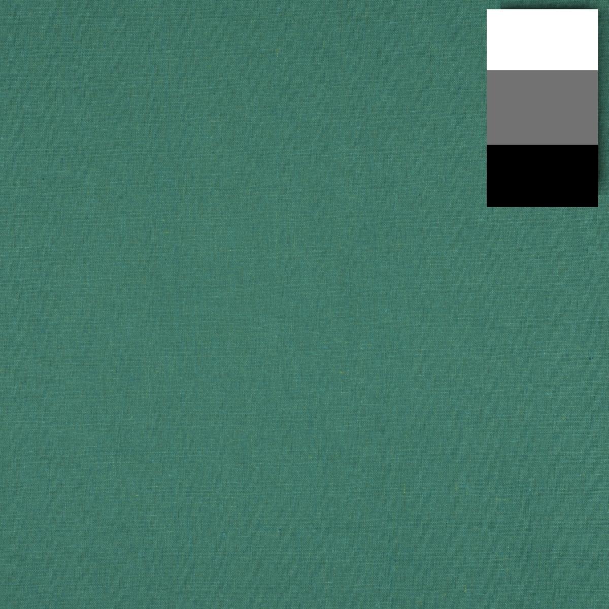 Walimex pro Stoffhintergrund (285 cm, 600 cm), Hintergrundsystem, Grün