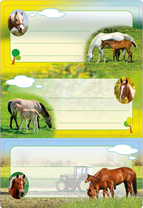 Image du produit HERMA Étiquettes en hêtre