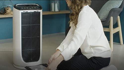 Actual product image Rowenta XD6060 Active carbon filter/PU4010 (1x)