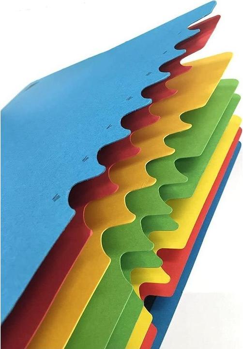 Immagine prodotto Leitz Ordnungsmappe (A4, 1x)