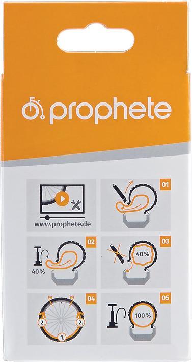 Actual product image Prophete Pulse (Schrader (AV), 27.5", 48 mm)