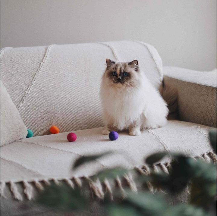 Image du produit District 70 Jouets pour chats Glow Felt Ball Toys, 35 mm, 4 pièces (Jouet à balle chat)