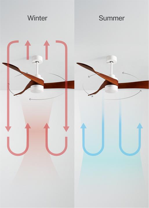 Immagine prodotto Create Wind Curve (50 dB)