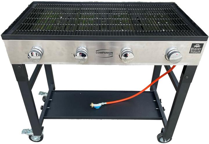 Blaser + Trösch Companion Pro (14.04 kW)