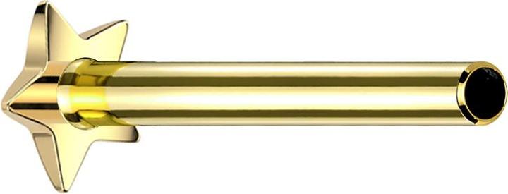 Immagine prodotto Star Piercing Asta per labret microfilettata stella placcata oro (senza ottone, Titanio)