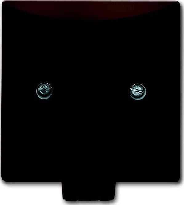 Actual product image Busch-Jaeger Central disc with support ring 2CKA001710A3797