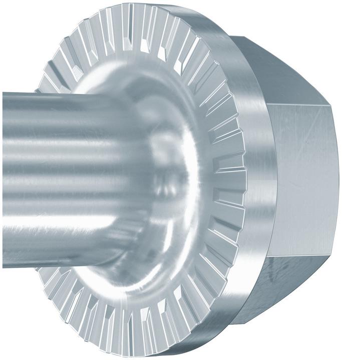 Image du produit Fischer 558223 (20 Vis par pièce)