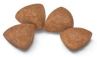 Image du produit Royal Canin X-Small Junior (Junior, 1 pcs, 500 g)