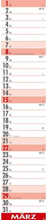 Energie-Label Supermemo Kalender 2026 (17 x 85 cm, Harter Einband, Deutsch)