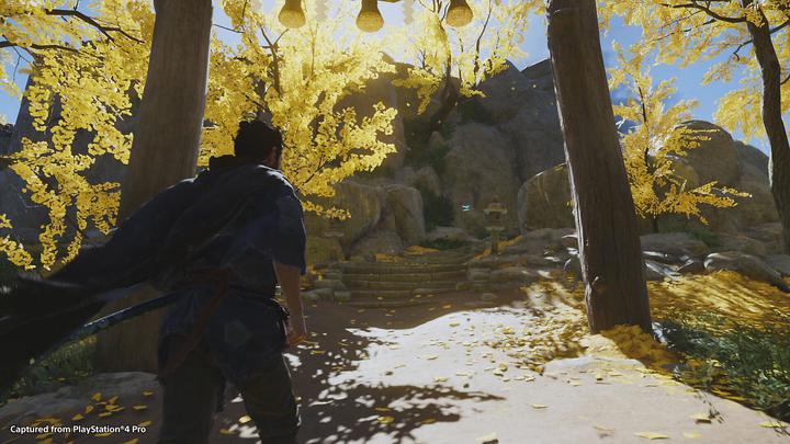 Actual product image Sony Ghost of Tsushima - PlayStation 4 - M (Mature) (PS4, DE)