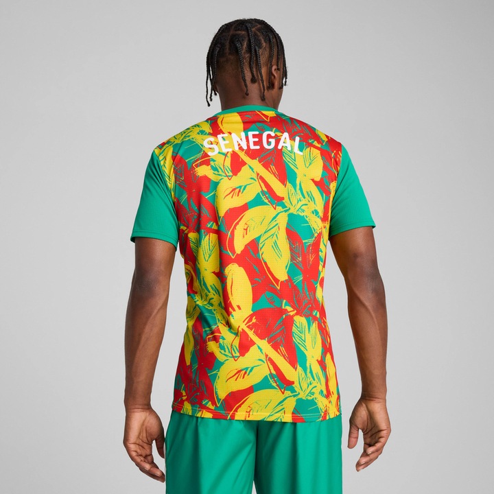 Produktbild Puma voranstosstrikot sénéga 2024 (L)