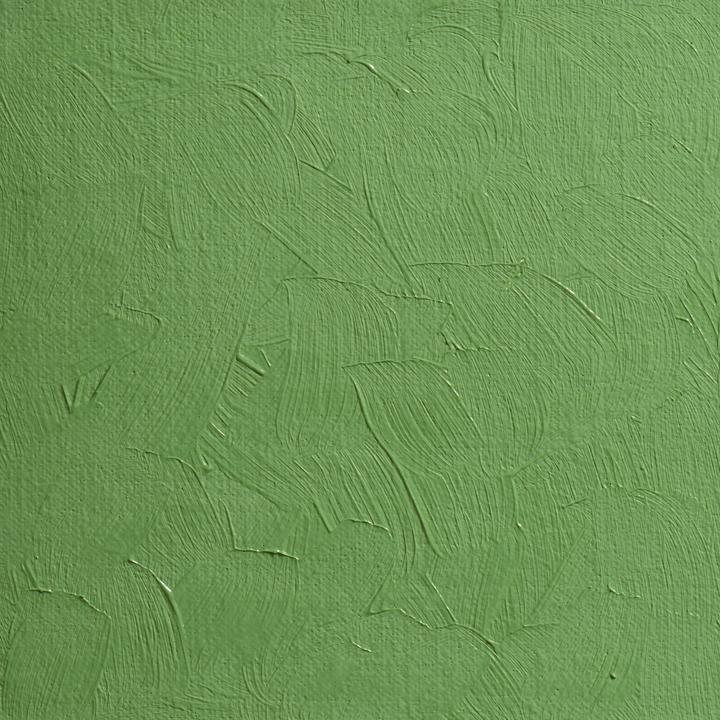 Image du produit BlockX - Vert de cobalt clair (200 ml)