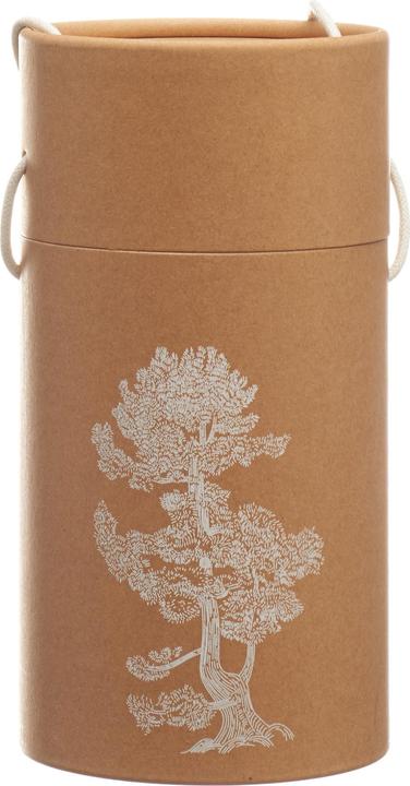 Immagine prodotto Nature's Design Pinus Cembra profumo legno (10 ml)
