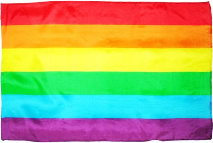 Actual product image - Lgbt Big Flag