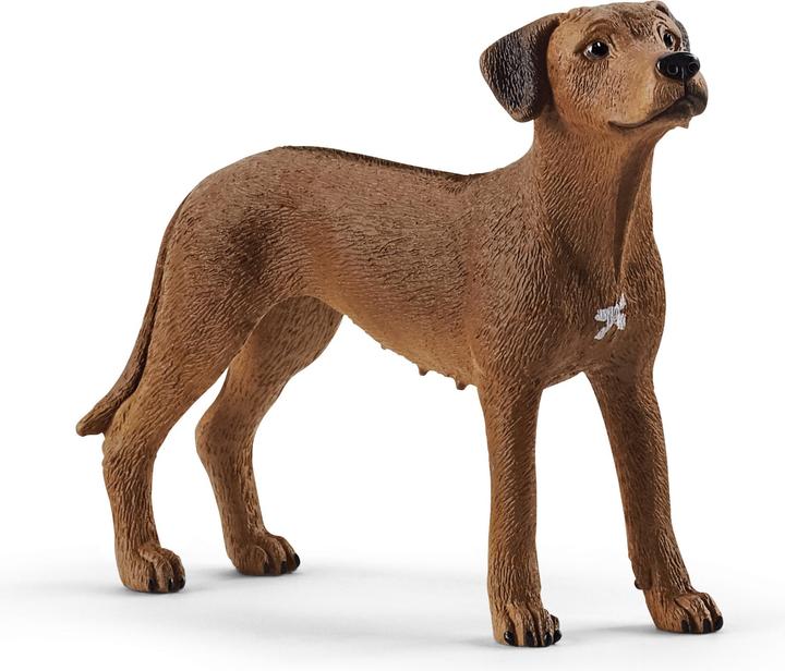 Actual product image Schleich Rhodesian Ridgeback