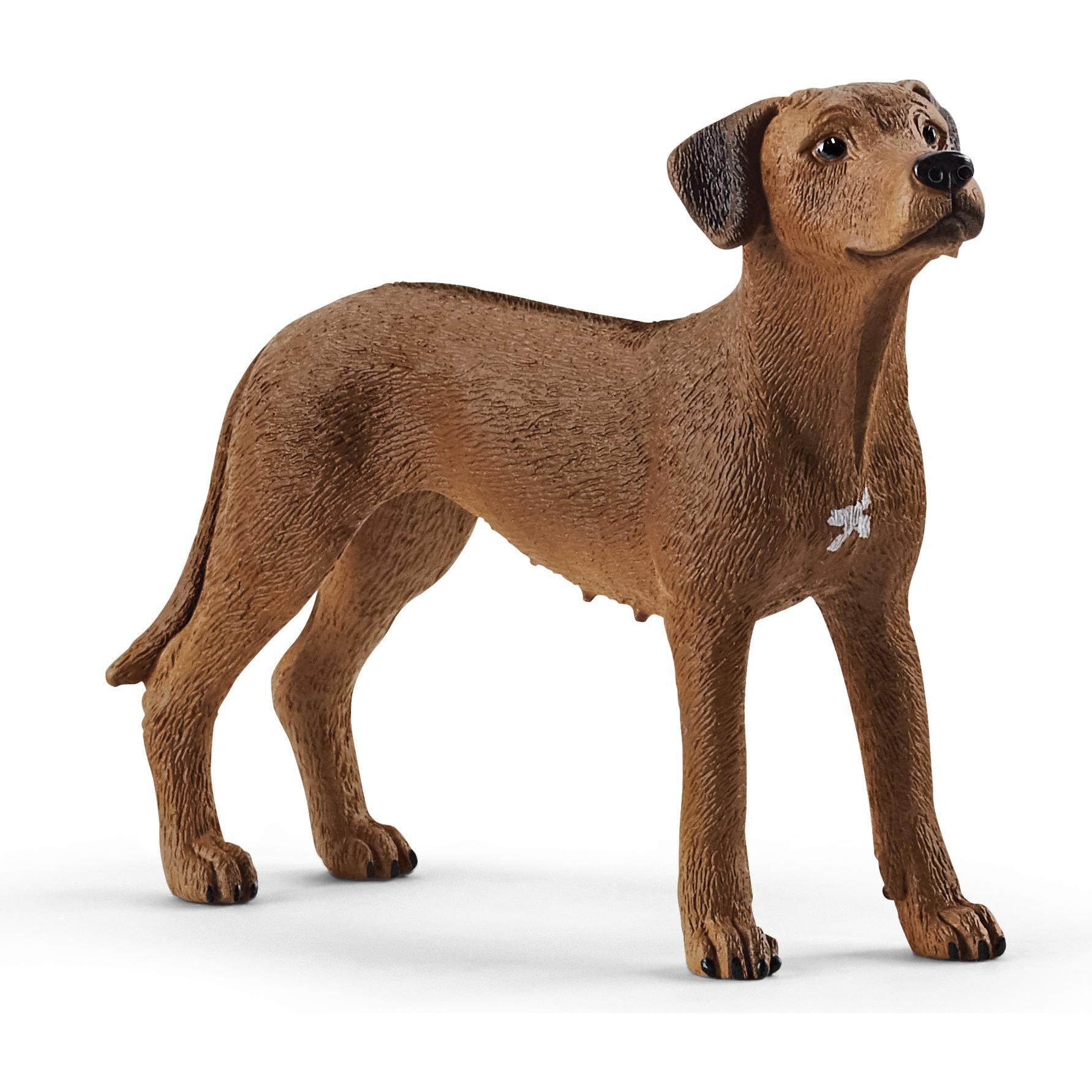 Schleich Rhodesian Ridgeback