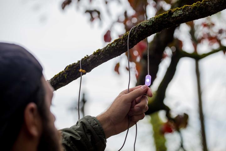 Produktbild Biolite Solar String 44, Color