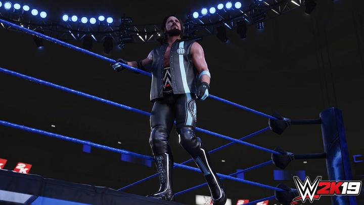 Image du produit 2K Games WWE 2K19 (PS4, Multilingue)