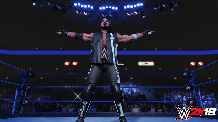 Image du produit 2K Games WWE 2K19 (PS4, Multilingue)