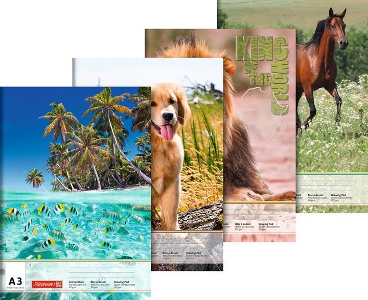 Immagine prodotto Brunnen Blocco da disegno DIN A3 100g/m² 20 fogli (A3)