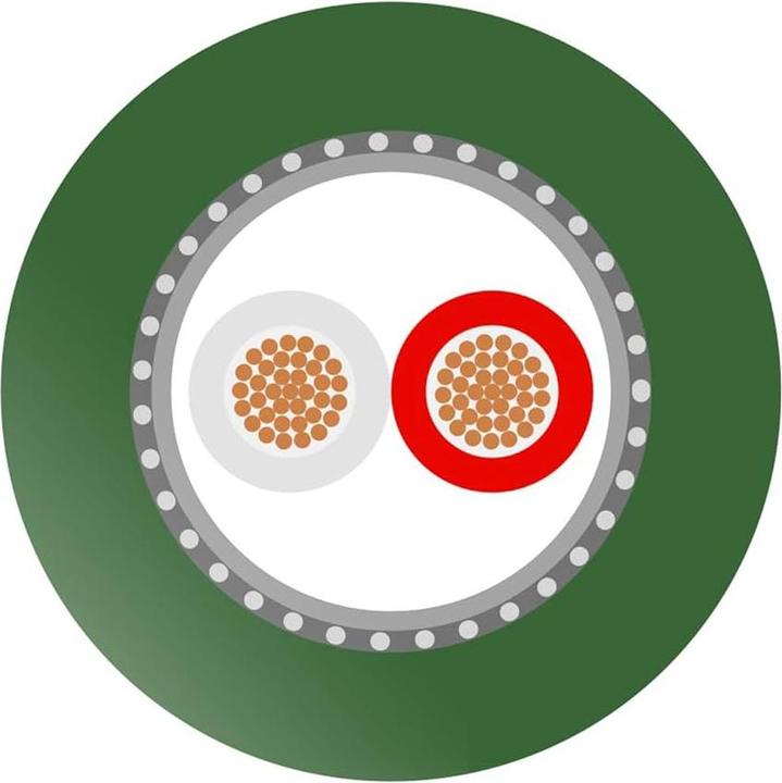 Actual product image Sommer Cable XLR NF-Phonokabel Albedo (XLR)