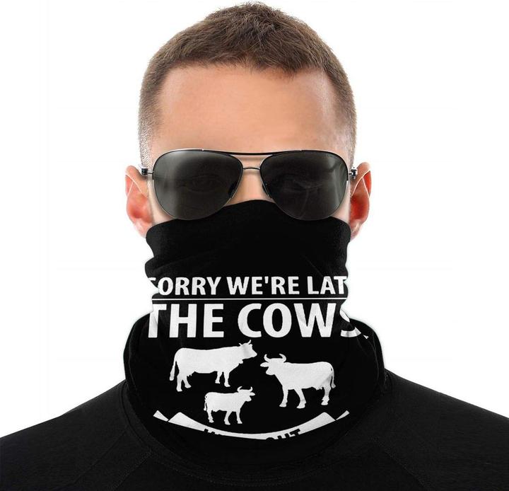 Produktbild Godox SB-FW140 (Softbox, 140 cm)