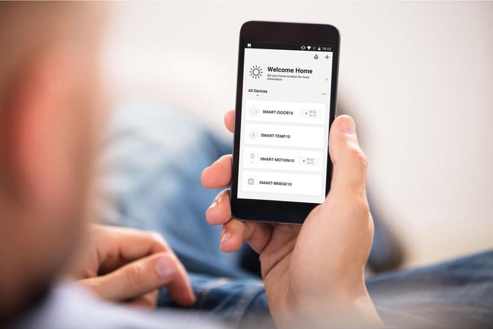 Actual product image Alecto Control unit Smart-Bridge10