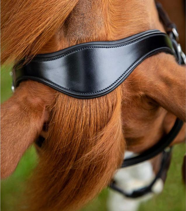 Actual product image Premier Equine Glorioso bridle