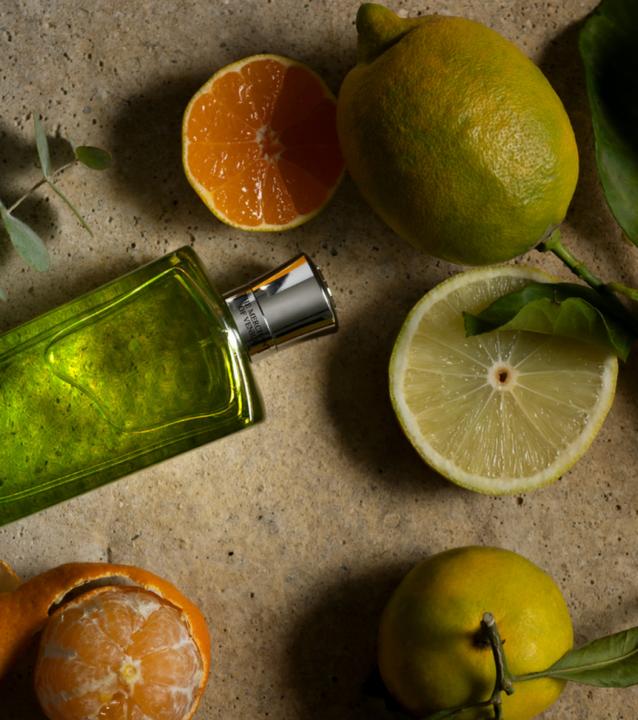 Produktbild The Merchant of Venice Nobil Homo Colonia Veneziana Eau de Parfum (Eau de Parfum, 100 ml)