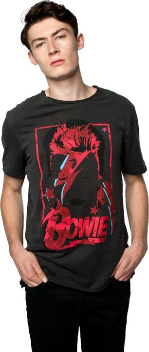 Produktbild Amplified Aladdin Sane TShirt (M)
