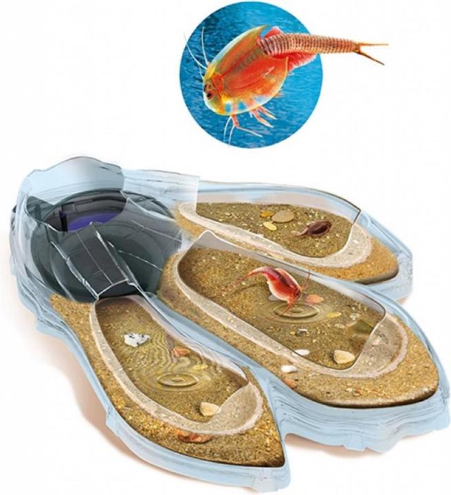 Image du produit Clementoni Triops