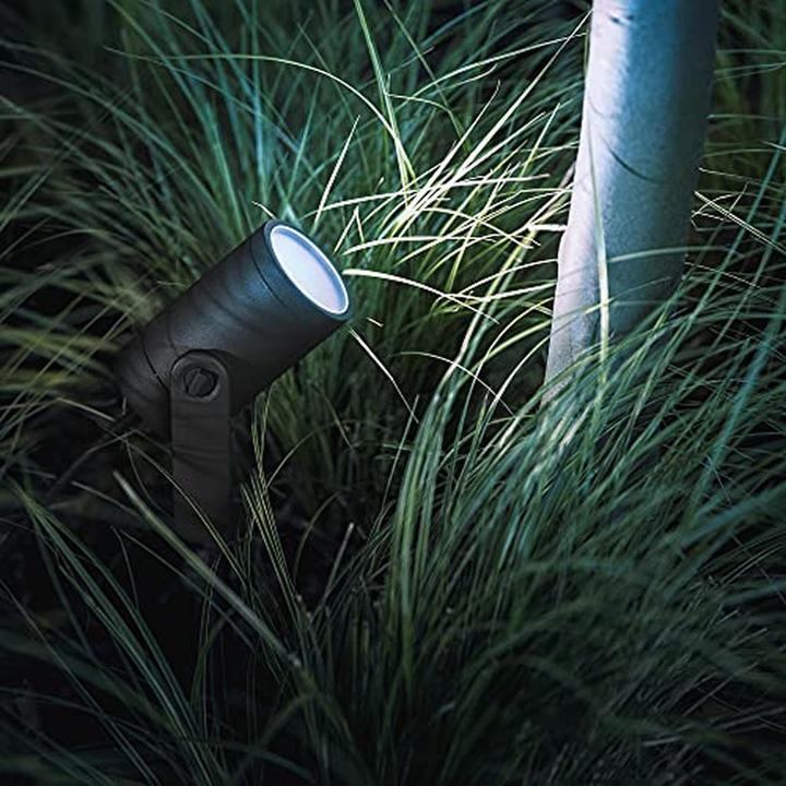 Actual product image Philips Hue Lily (640 lm, IP65)