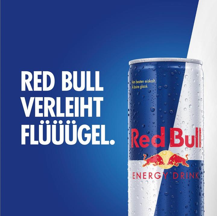 Image du produit Red Bull Energy Drink (6 x 25 cl)