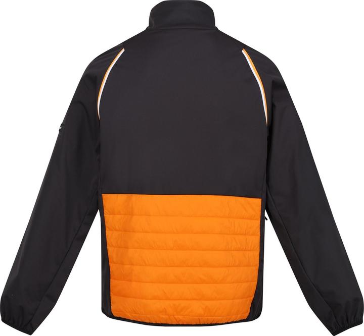 Produktbild Regatta Steren Hybrid Softshelljacke (S)