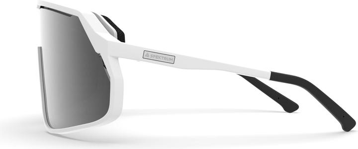 Image du produit Lom Sunglasses (Fumée)