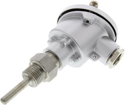 Produktbild RS PRO Sonde PT 100 1/2 GCY